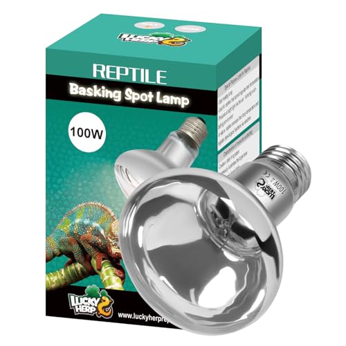 100w Reptile Heat Lamp