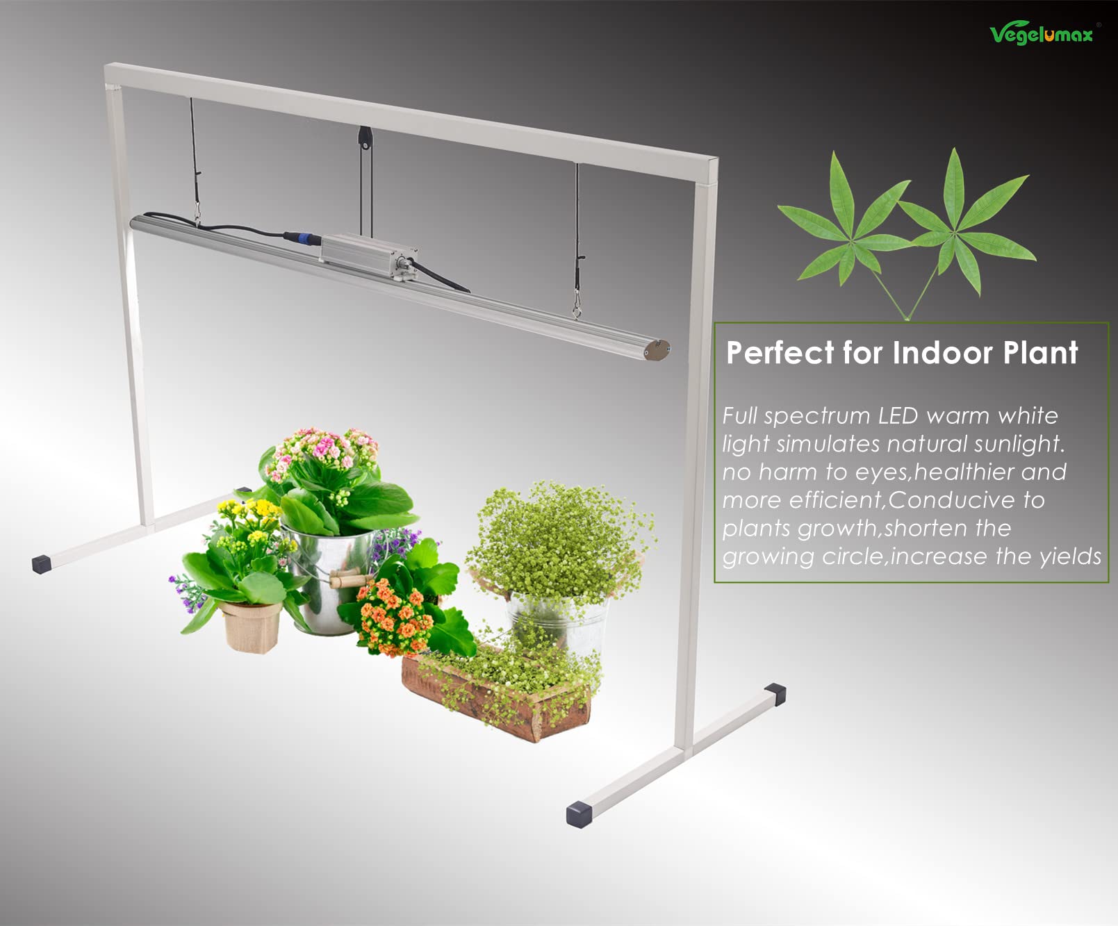 Full Spectrum LED Grow Light for Indoor Plants - 100W, 4ft, 3200K CCT, CRI 90+ High Output White Light with Dimmer & On/Off Switch - Perfect for Vegetables, Flowers, and Herbs Growth in Hydroponics, Greenhouses & Home Gardens