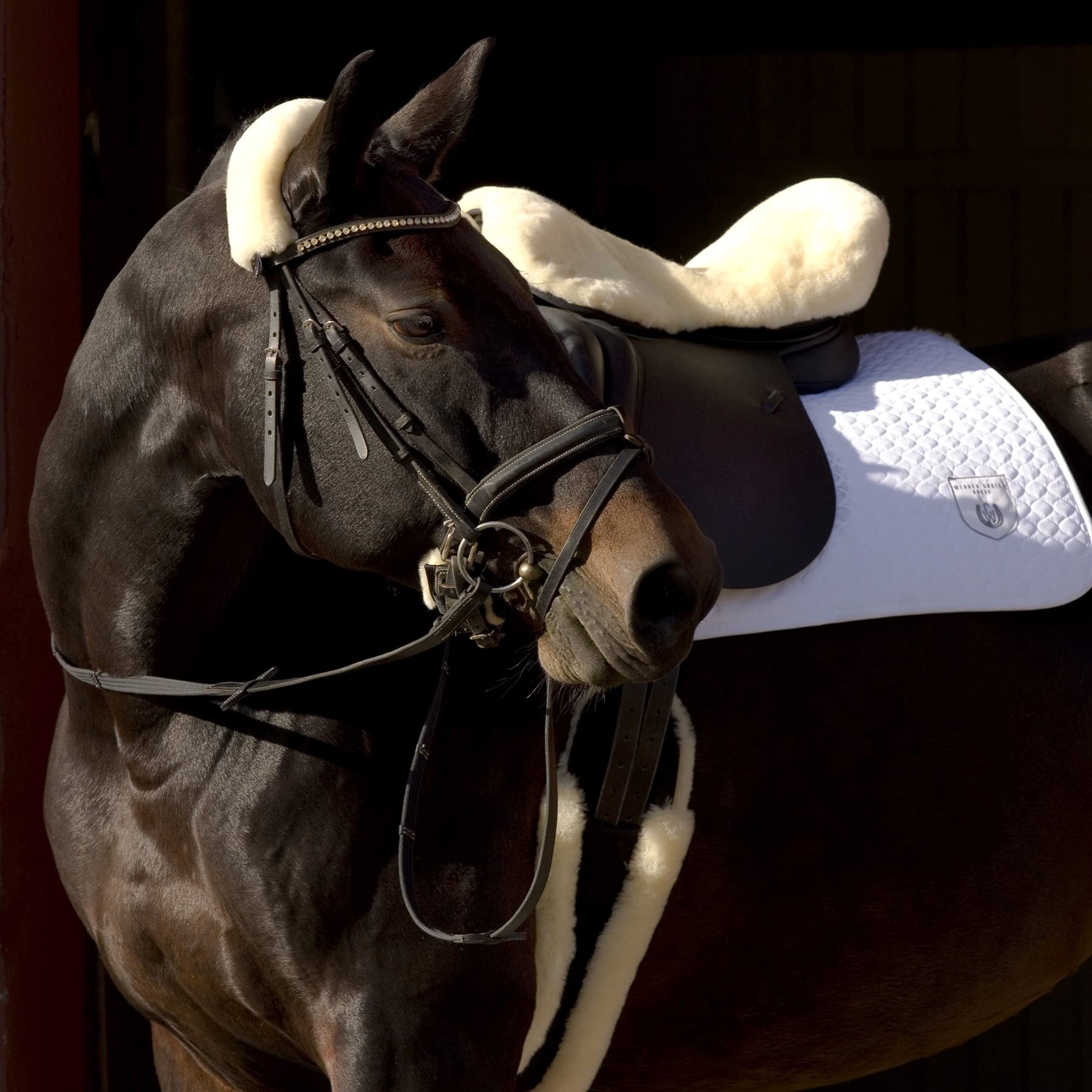Premium English Horse Saddle Seat Saver - Genuine Sheepskin Equestrian Riding Pad for Comfort & Protection | Ideal for Dressage, Show Jumping & Trail Riding