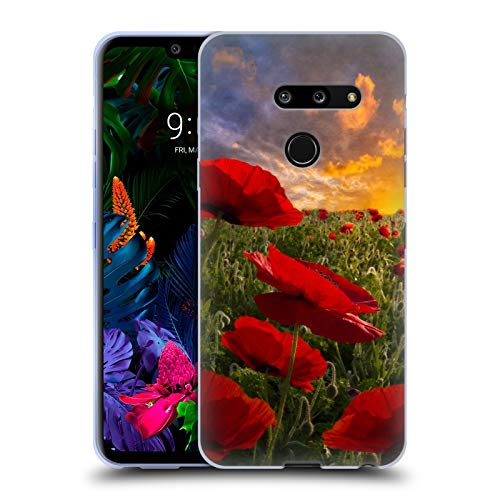 Red Flower Field