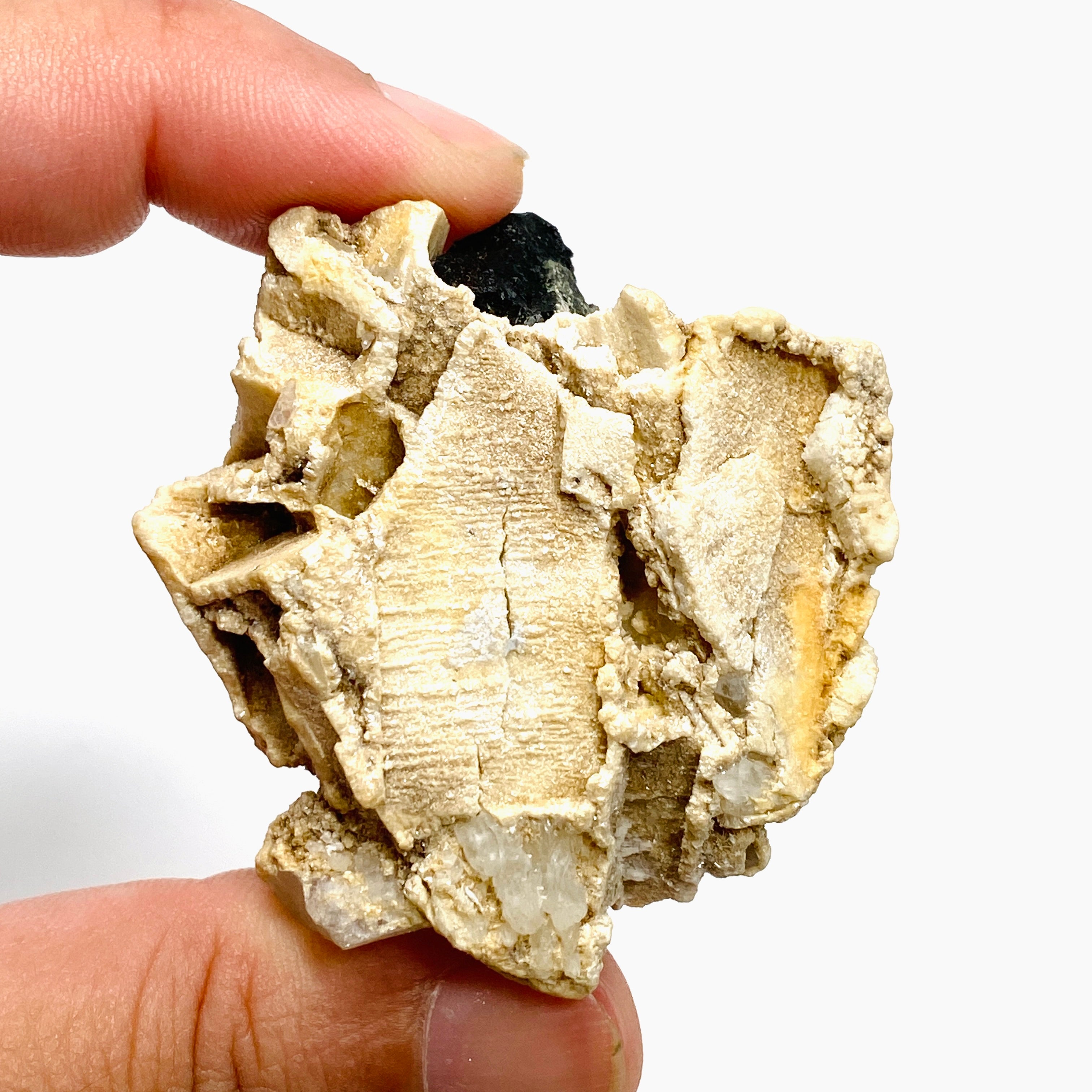 Natural Black Tourmaline Crystal Specimen - Raw Healing Stone for Energy Protection & Grounding - Perfect for Meditation, Home Decor & Jewelry Making