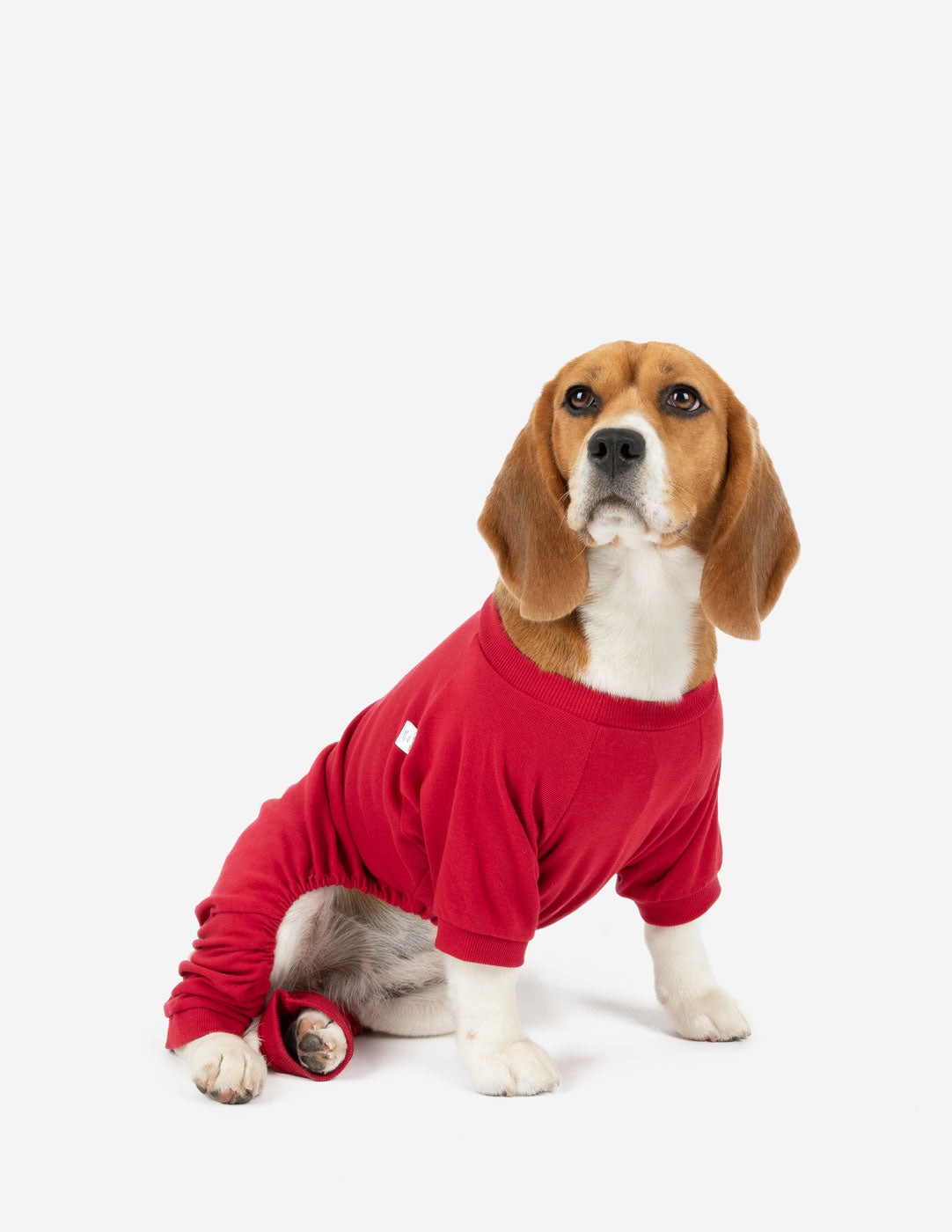 Premium Dog Pajamas - Classic Solid Color Pet Sleepwear for Small Medium Large Dogs - Perfect for Indoor Lounging & Cozy Nights