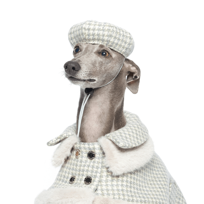 Evergreen Dog Beret - Stylish Pet Hat for Small & Medium Dogs - Perfect for Photos, Parties & Outdoor Adventures