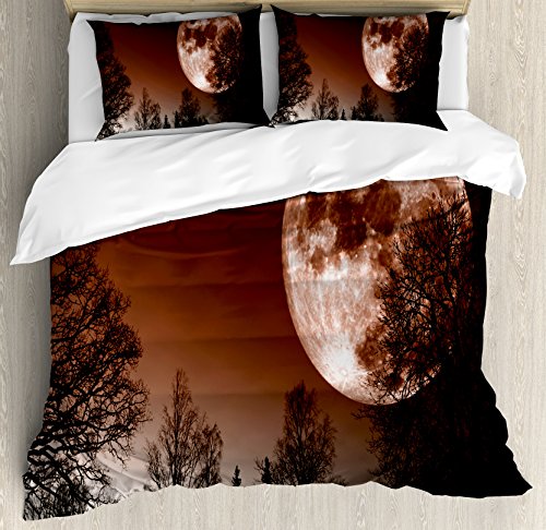 Redwood Black