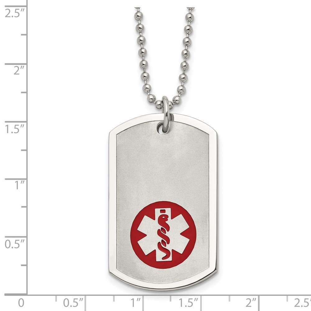 Stainless Steel Large Dog Tag with Medical ID - 22 Inch Necklace for Pets - Perfect for Emergency Contact Info & Pet Identification