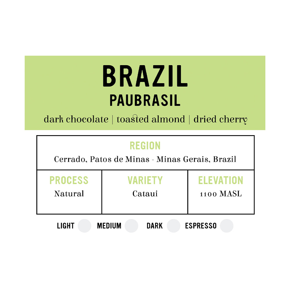 I.XXI Brazil Paubrasil Whole Bean Coffee - 12 oz Bag, Premium Arabica, Rich & Smooth Flavor - Perfect for Home Brewing, Office Use & Gifts
