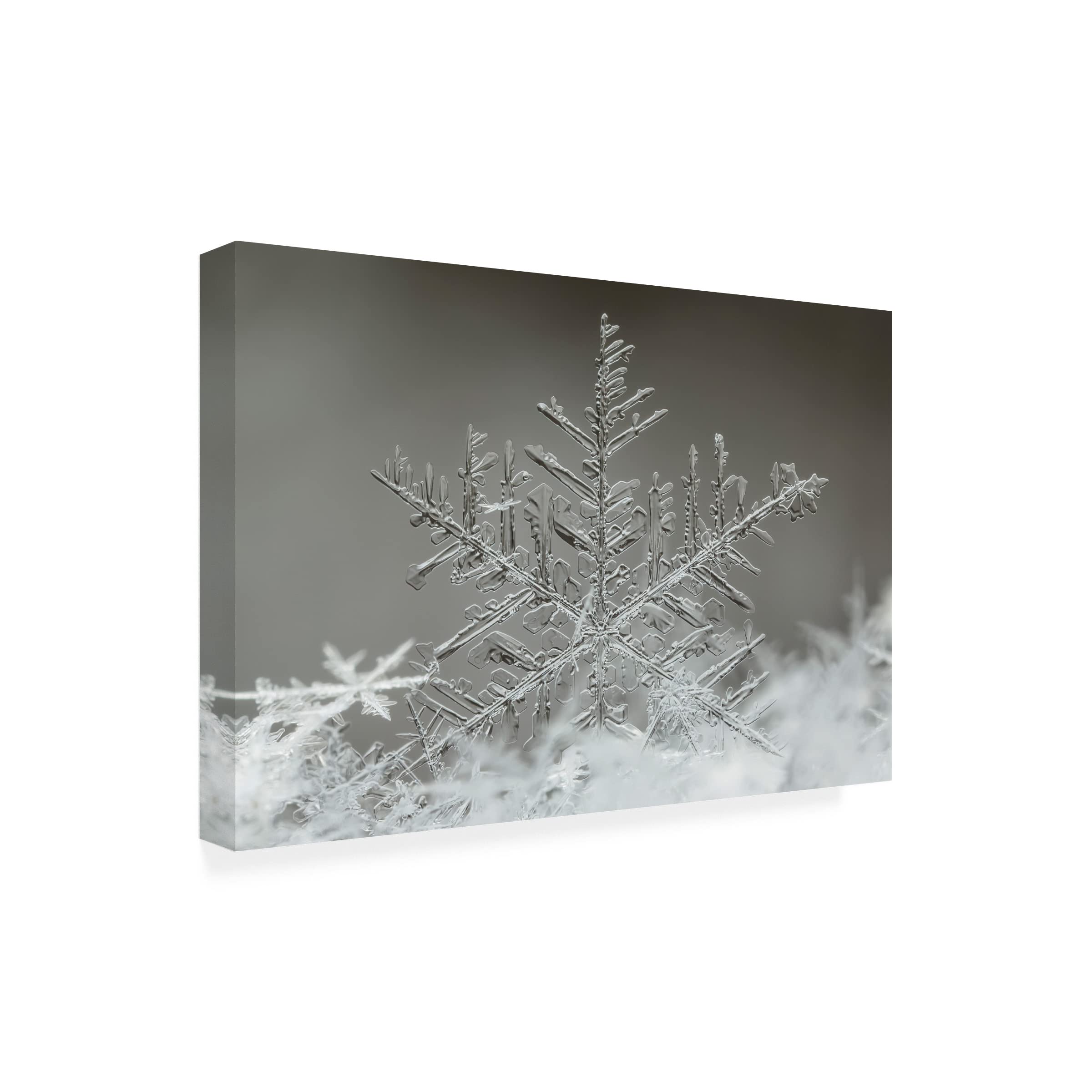 Trademark Fine Art 'Snowflake' Canvas Wall Art by Tsolmon Naidandorj - Winter Home Decor for Living Room, Bedroom & Office