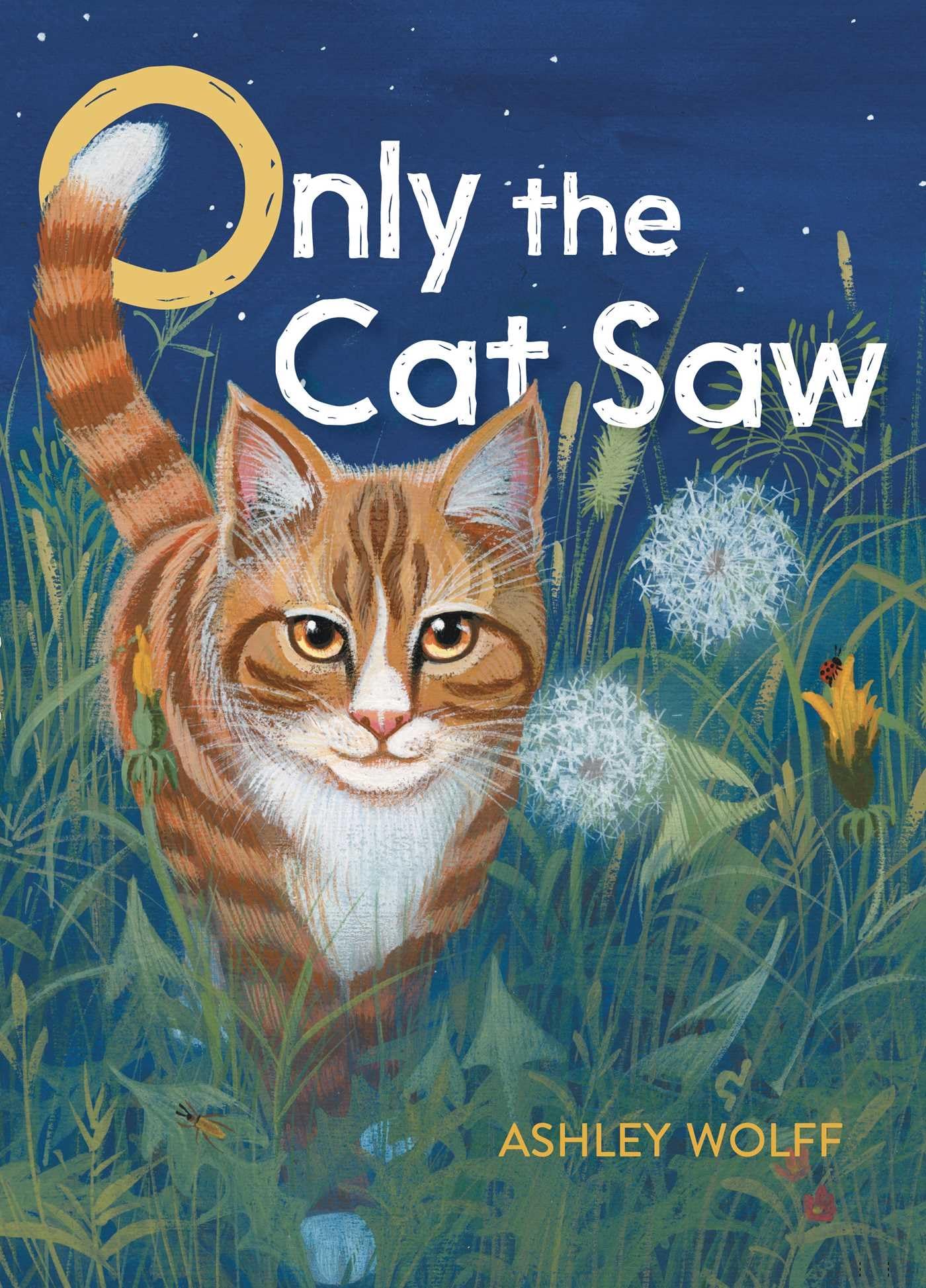 Only the Cat Saw - Funny Cat Book for Kids | Perfect for Bedtime Stories & Family Reading Time