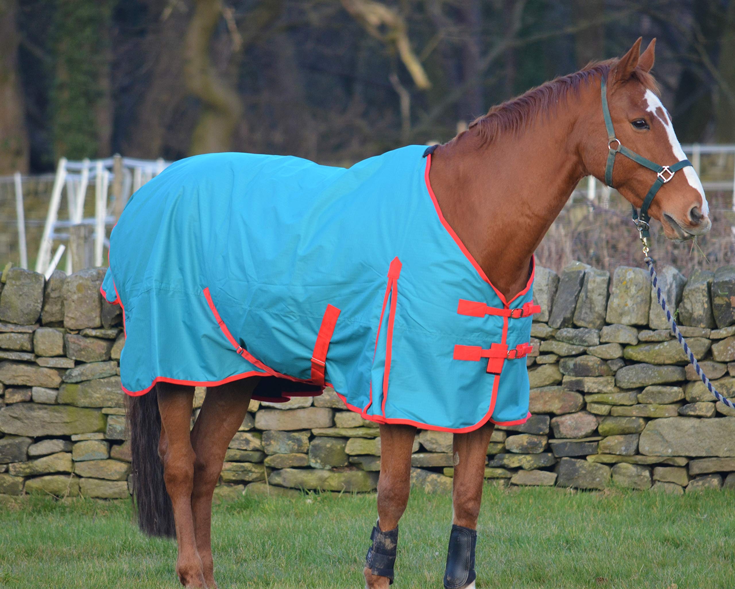 Lightweight 100g Fill Waterproof Turnout Rug for Horses & Shetland Ponies - Perfect for Outdoor Riding, Stable Use & All-Weather Protection