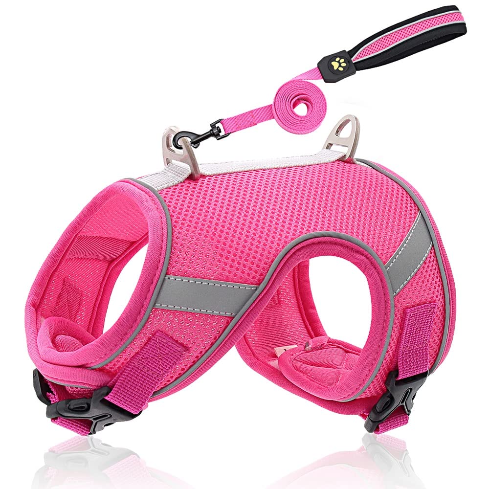 Breathable Mesh Dog & Cat Harness Leash Set - Reflective Nylon Adjustable Puppy Vest for Small & Medium Pets | Perfect for Walking, Hiking & Outdoor Adventures (Color: D, Size: Small)