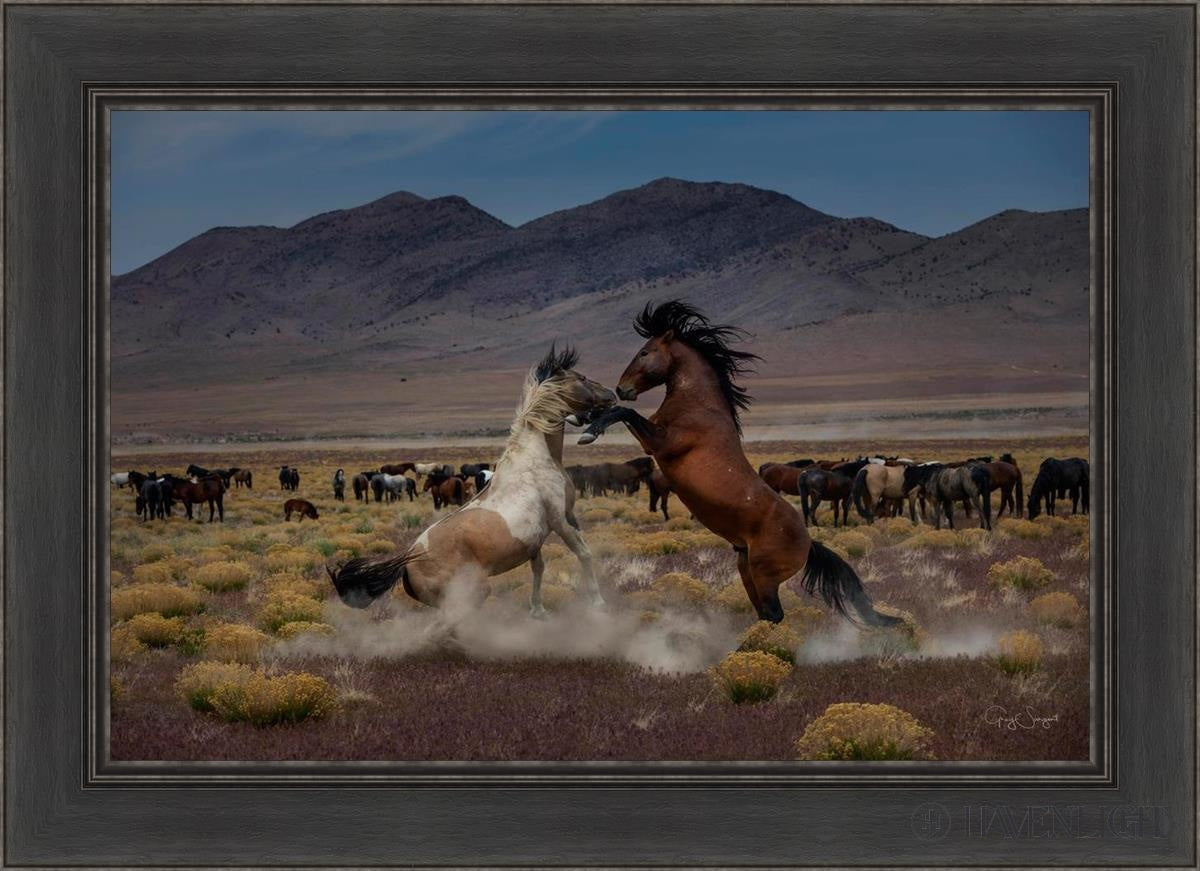 Desert Duel 5 by Greg Sargent - Western Action Novel - Perfect for Book Clubs & Cowboy Adventure Fans