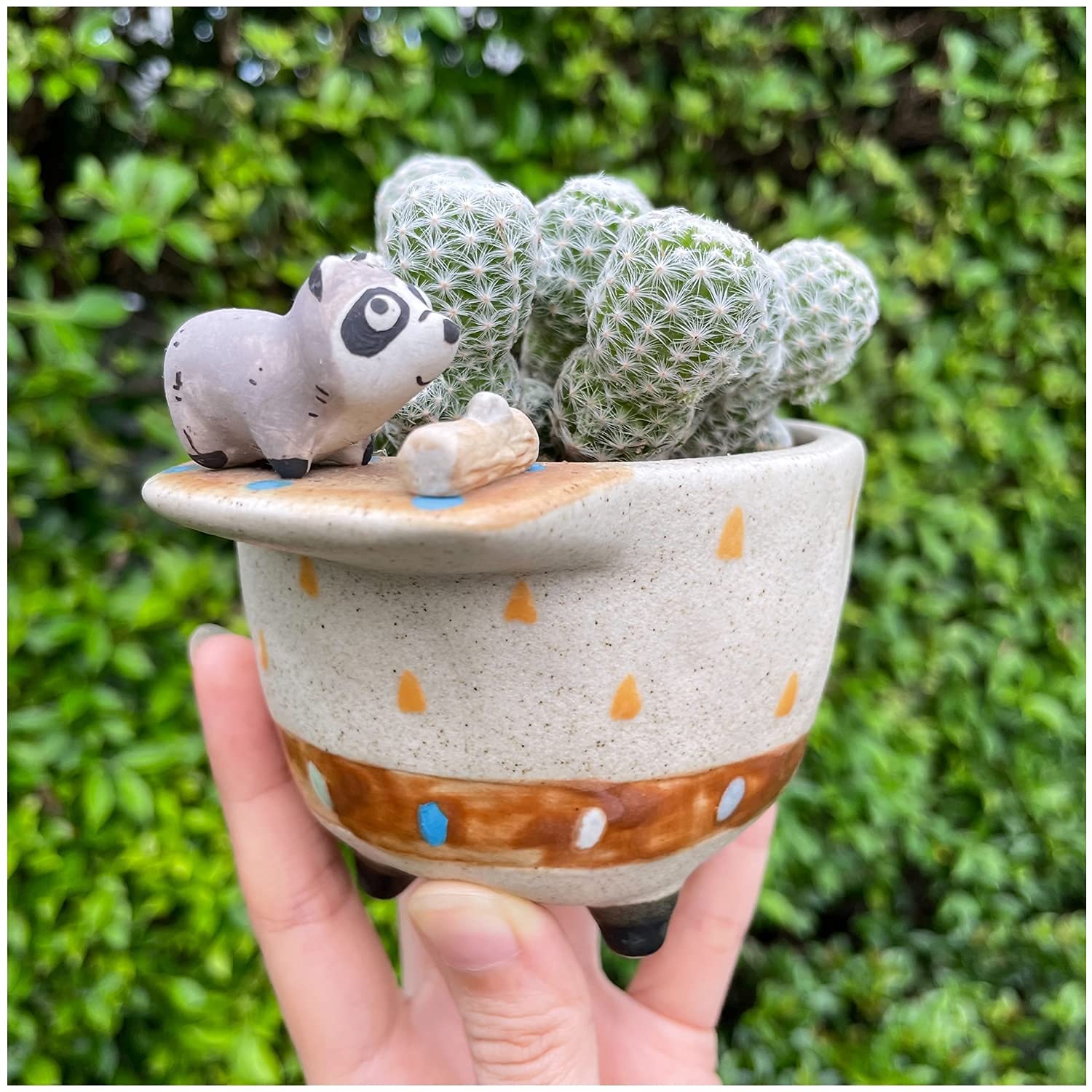 Ceramic Succulent Planter with Drainage Hole & Tray - Small Cactus Flower Pot for Home, Office Desk Decor - Perfect for Indoor Plants, Shelf Display, and Gift Ideas (Raccoon Design)