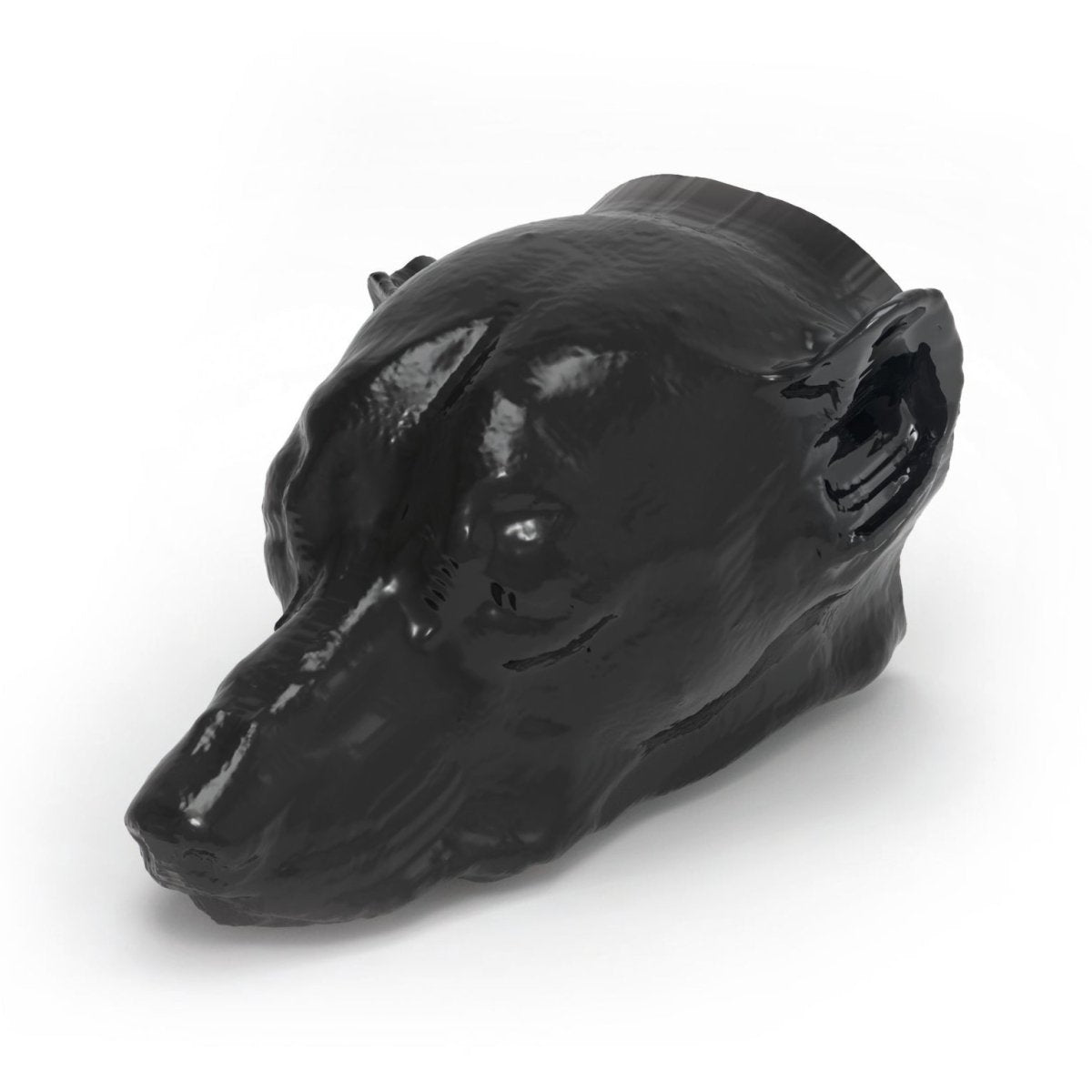 Dog Head Phantom for CT Scan & X-Ray Training - Veterinary Radiology Practice, Medical Education, and Diagnostic Imaging Simulation