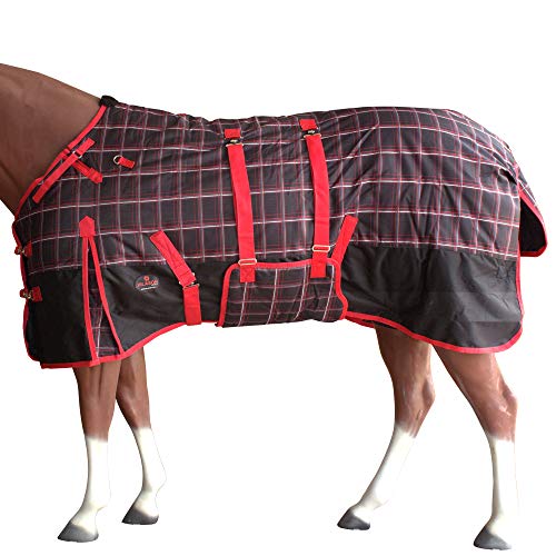 Red Black Plaid