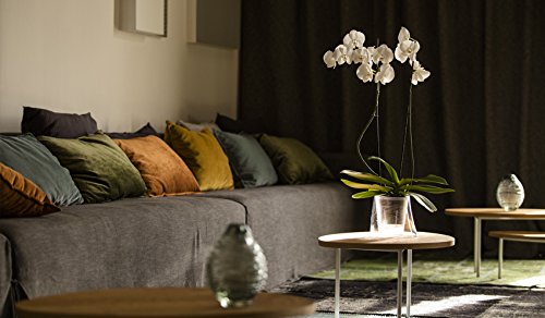 Lina Round Orchid Pot with Self-Watering System - 20 x 20 cm Fuchsia Planter for Indoor Plants, Home Decor & Garden