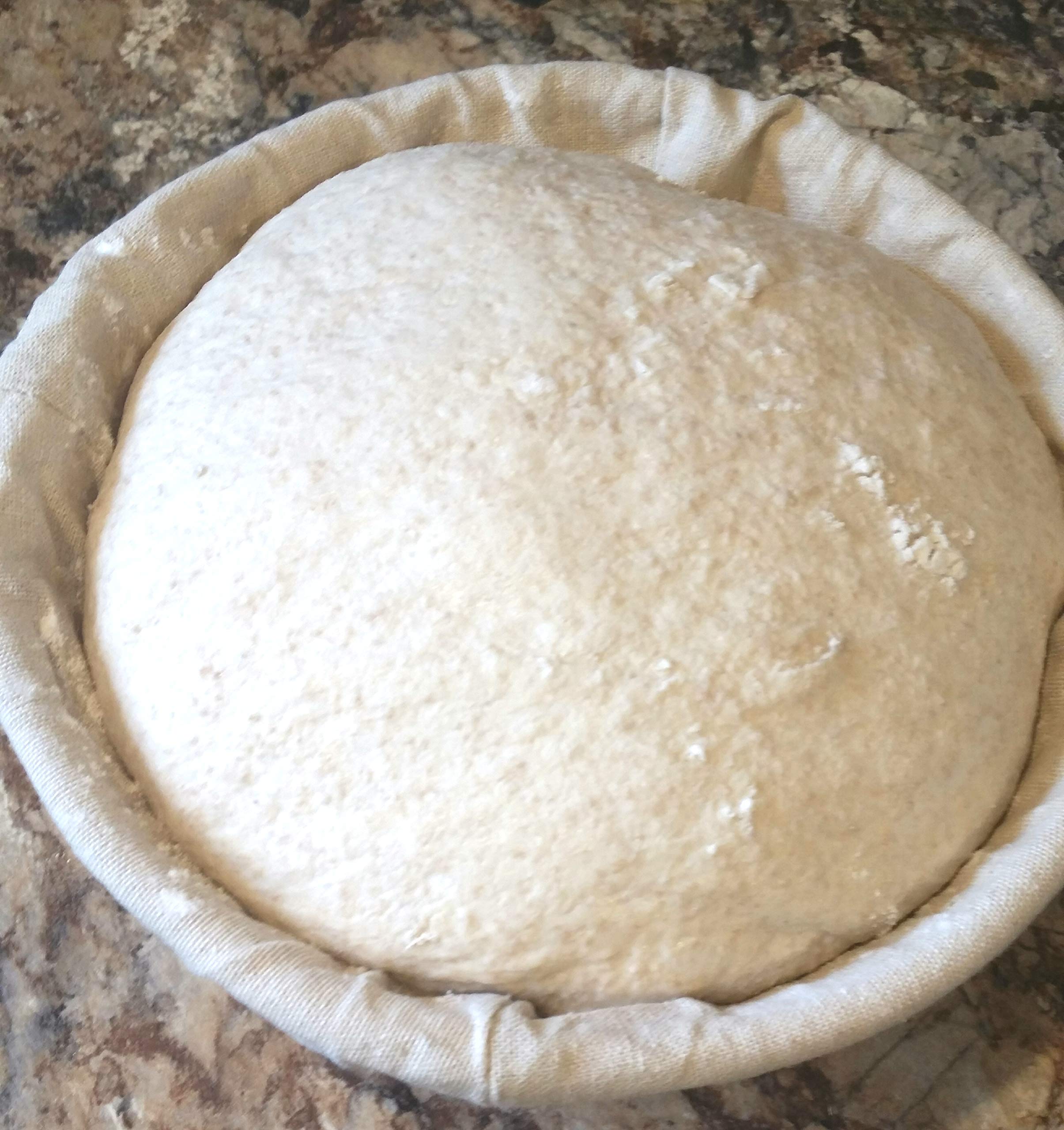 Organic Wild Wheat Sourdough Starter - Dehydrated & Dried Sourdough Culture for Homemade Bread Baking | Artisan Sourdough Bread Starter Kit | Perfect for Beginners & Bakers | Use for Rustic Loaves, Pizza Dough & Pastries