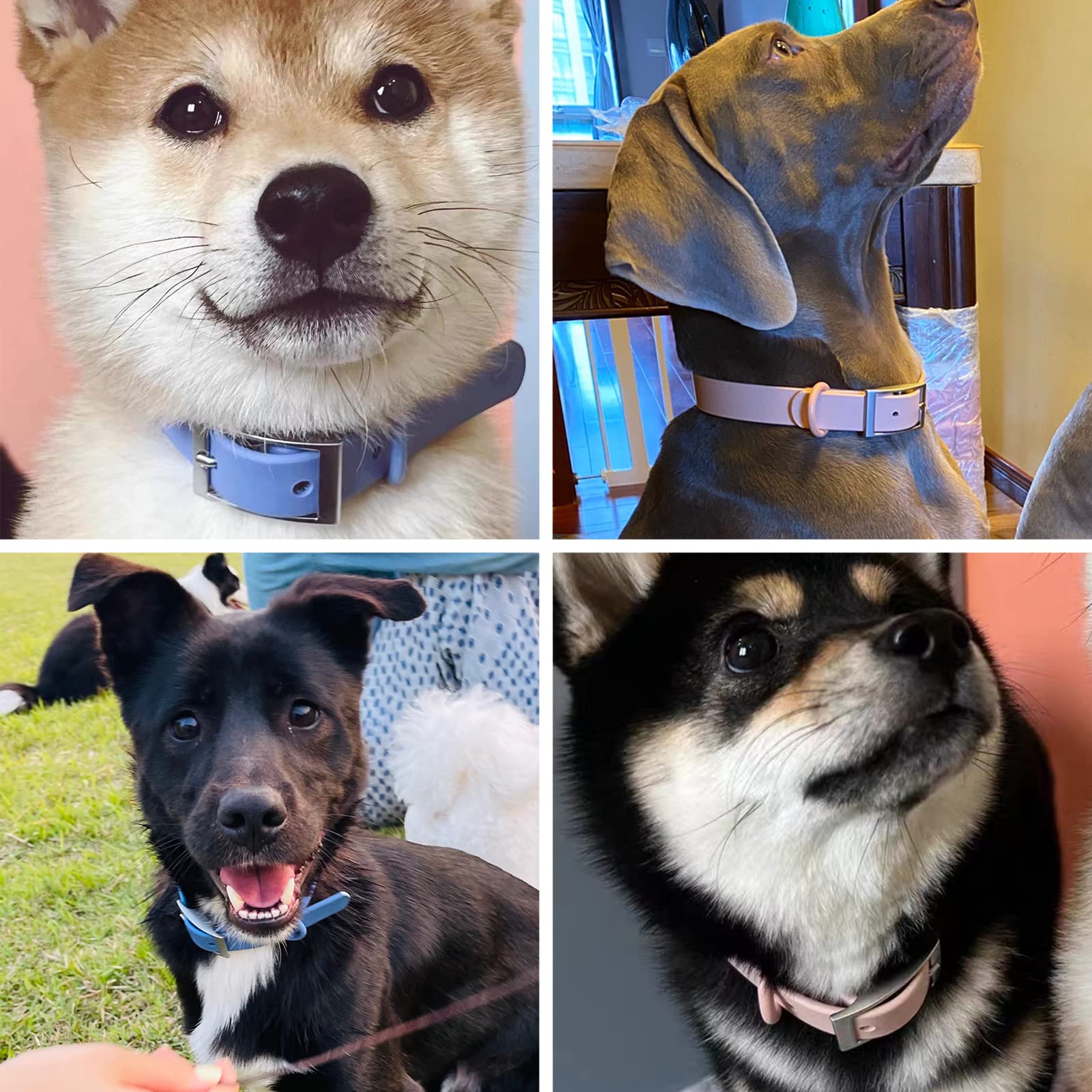 Waterproof Dog Collar - Adjustable Odor Resistant Pet Collar for Small Medium Large Dogs | Soft Comfortable Easy Clean Design | Moonstone Blue (Size L:15.7-19.7