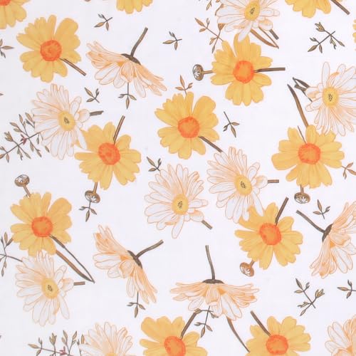 Daisy