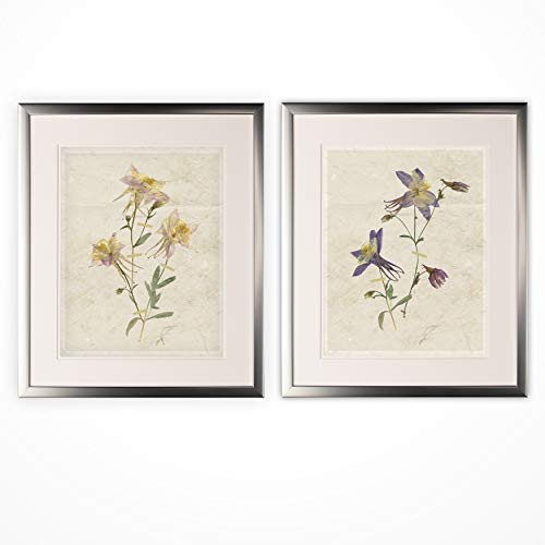 Pressed Columbine