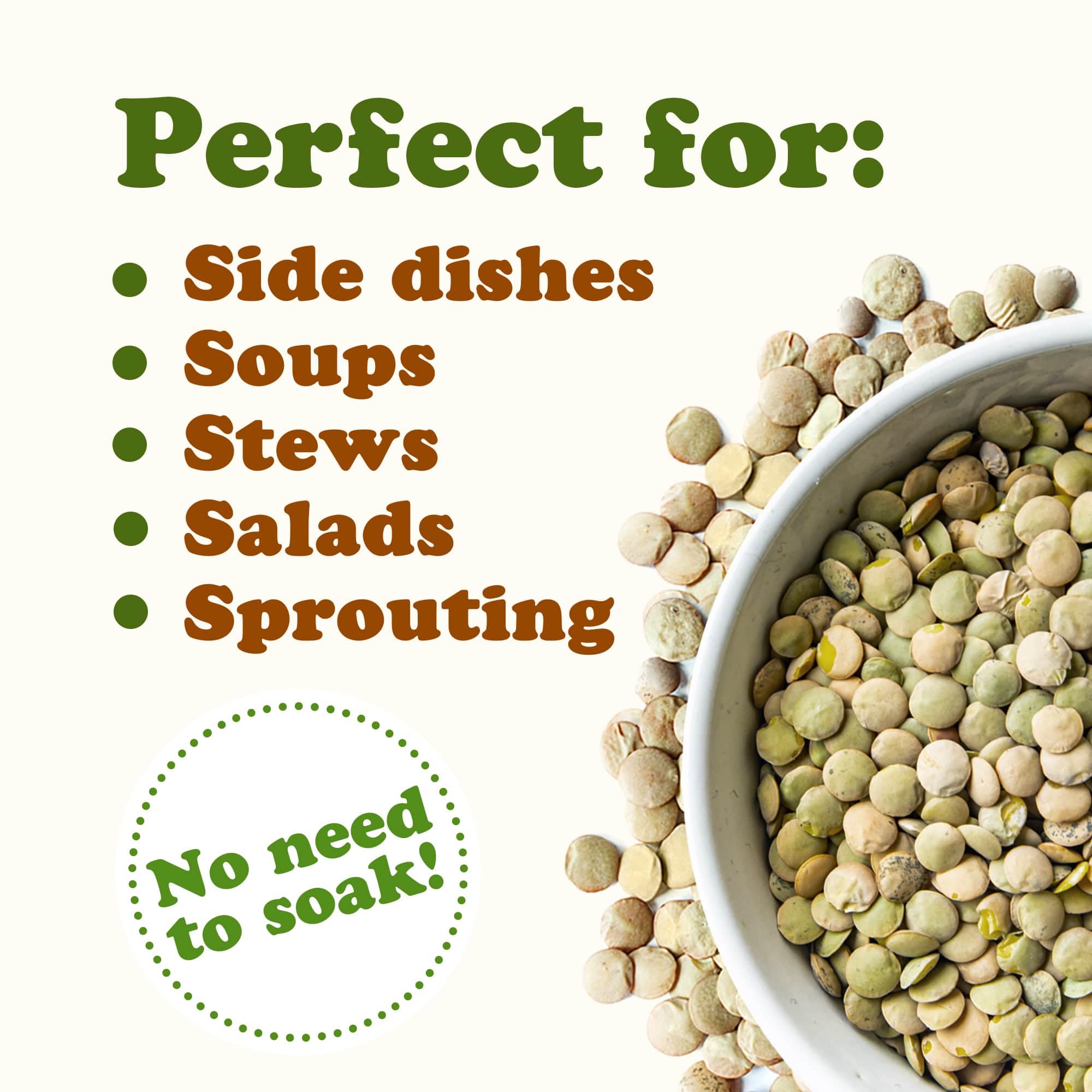 Food to Live - Organic Whole Green Lentils, 25 lbs | Raw Dried Lentils for Sprouting | Kosher & Vegan Certified | High in Fiber & Protein | No Soaking Required | Perfect for Soups, Salads & Healthy Meal Prep
