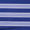 Stripe 2121