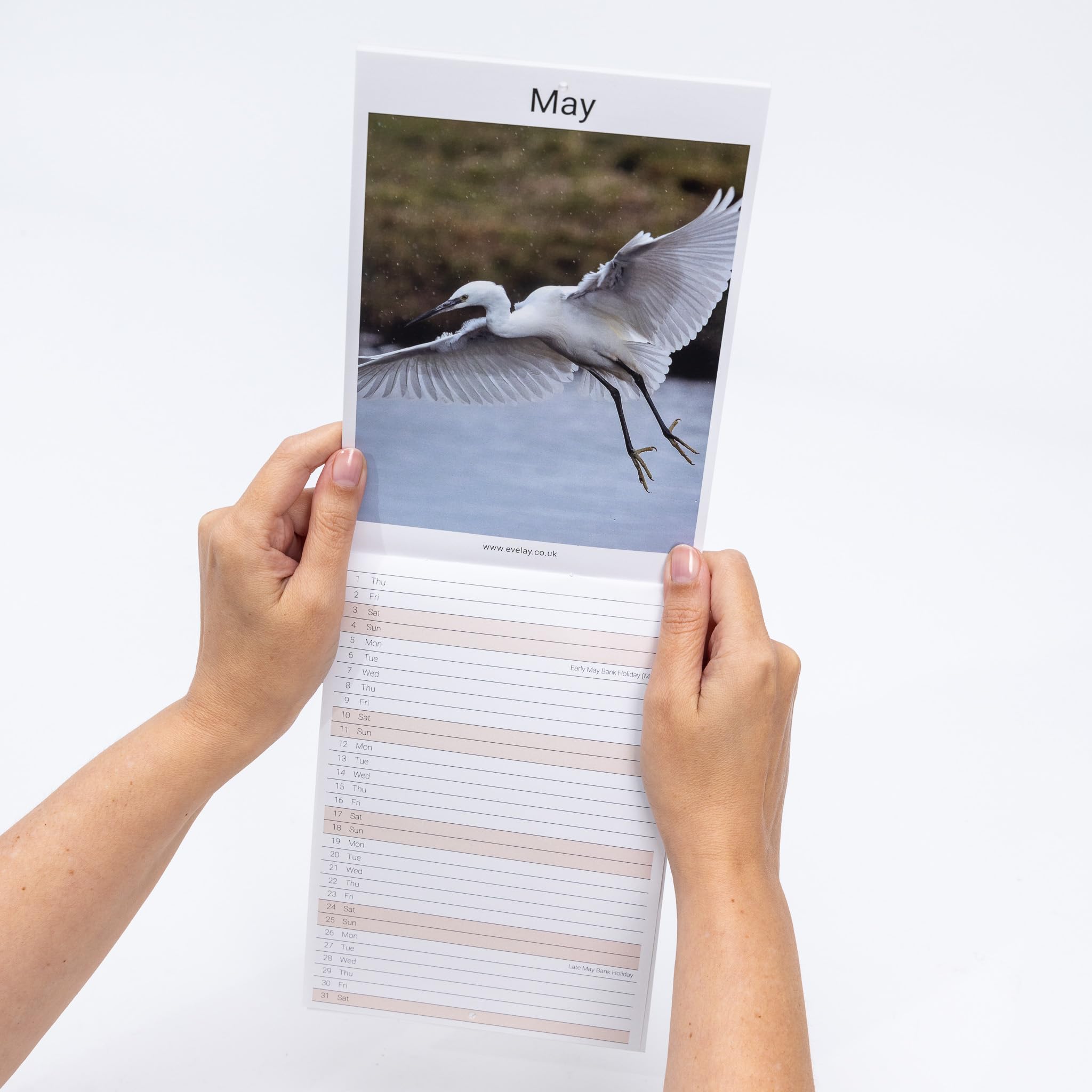 Evelay 2025 British Wildlife Wall Calendar - Slim Monthly Planner with UK Holidays | Family Organizer, Home & Office Decor | Perfect for Gift, Planning & Nature Lovers