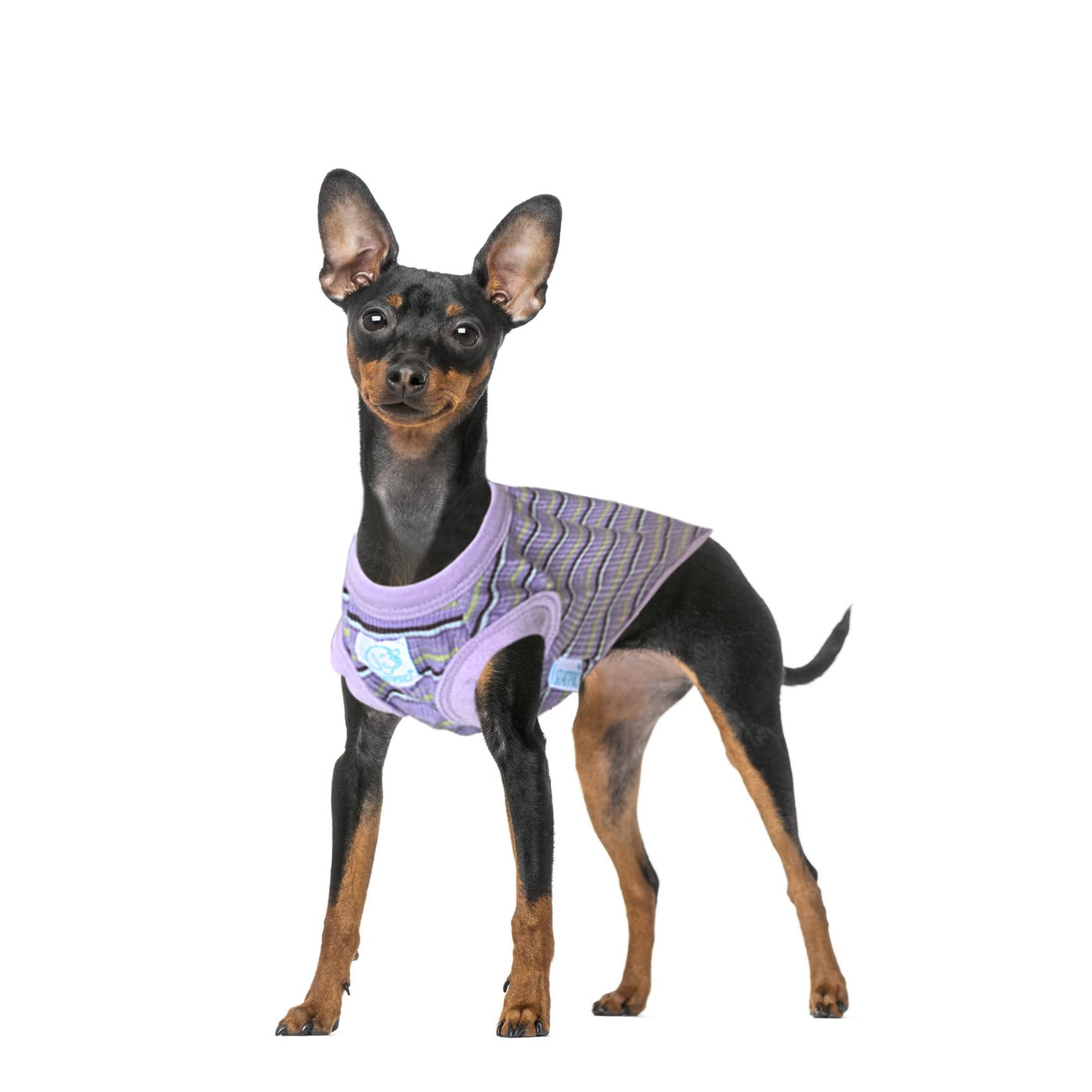 Striped Pet Dog T-Shirts - 100% Cotton Sleeveless Tank Vest for Small Dogs & Cats | Chihuahua, Yorkie Puppy Clothes in X-Small (Purple) | Perfect for Summer Walks, Indoor Play & Pet Fashion