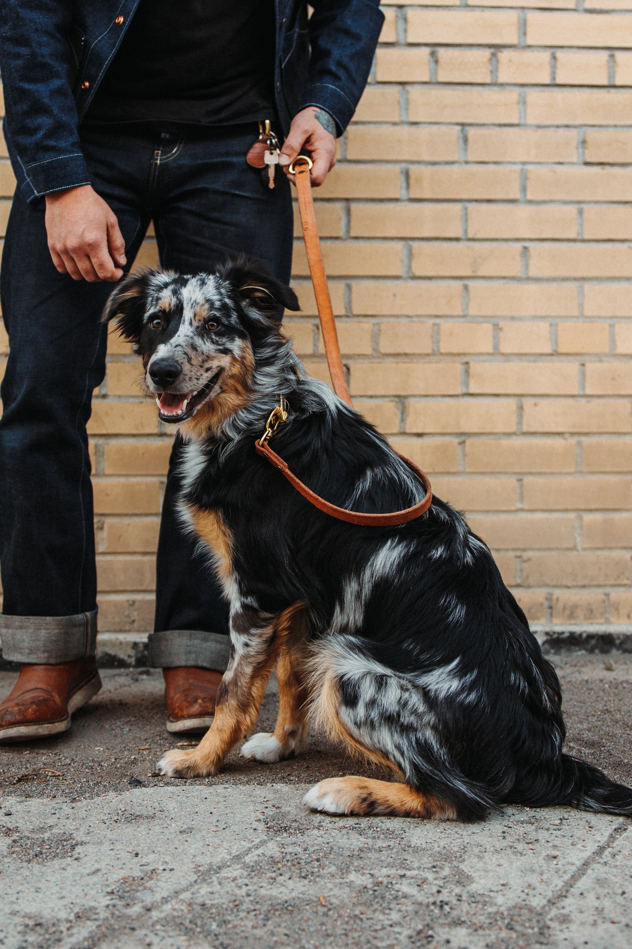 Durable The Jake Dog Leash in Black - Strong Nylon Pet Leash for Medium & Large Dogs - Perfect for Walking, Running & Outdoor Adventures