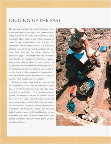 Dawn of Man: The Story of Human Evolution - Perfect for History Buffs, Science Enthusiasts & Classroom Learning