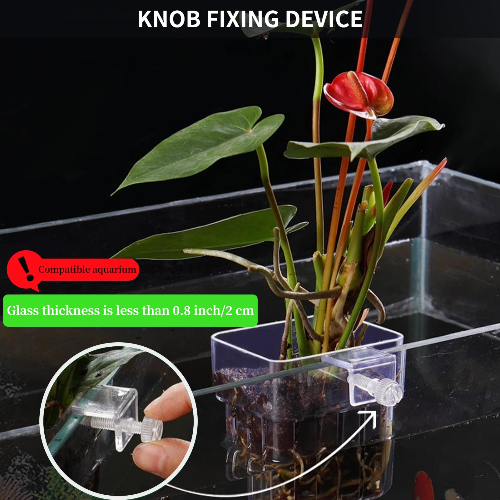 2 PCS Aquarium Plant Holder - Top Hanging Fish Tank Plant Pot with Suction Cups for Aquatic Plants | Perfect for Freshwater & Saltwater Aquarium Decoration