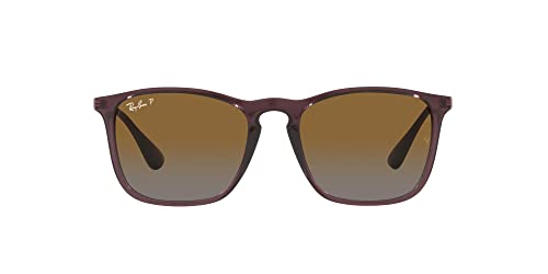 Transparent Brown/Grey Gradient Brown Polarized