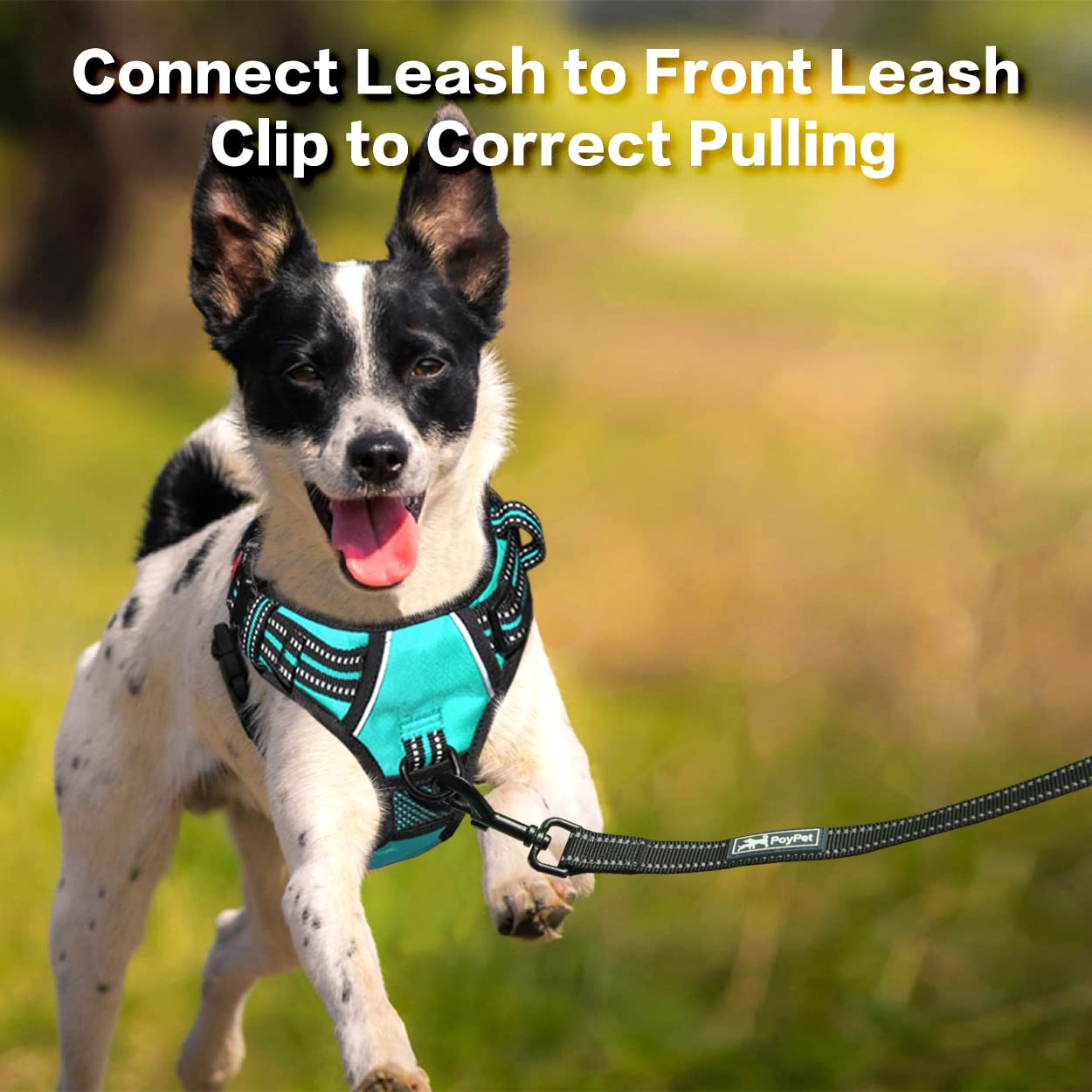 PoyPet No Pull Dog Harness - Front Clip Reflective Vest with Soft Padded Handle & 3 Leash Attachments for Small Medium Large Dogs (Mint Blue, Medium) - Perfect for Walking, Training & Nighttime Safety
