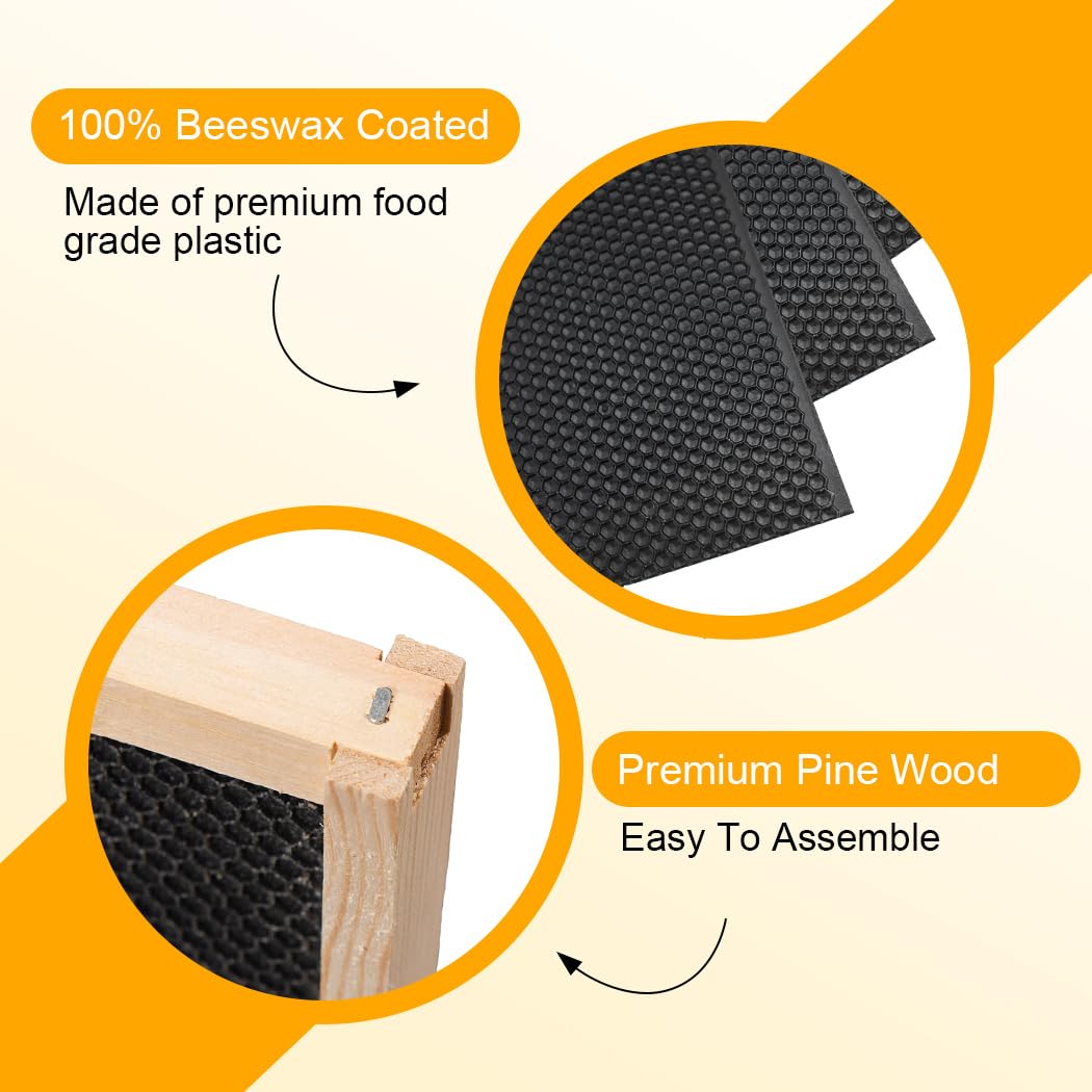 POLLIBEE 8 Frame Beehive Starter Kit - Unassembled Langstroth Bee Hive with 1 Deep & 1 Medium Box, Beeswax Coated Frames & Foundation - Complete Beekeeping Supplies for Beginners | Perfect for Backyard Honey Production & Pollination