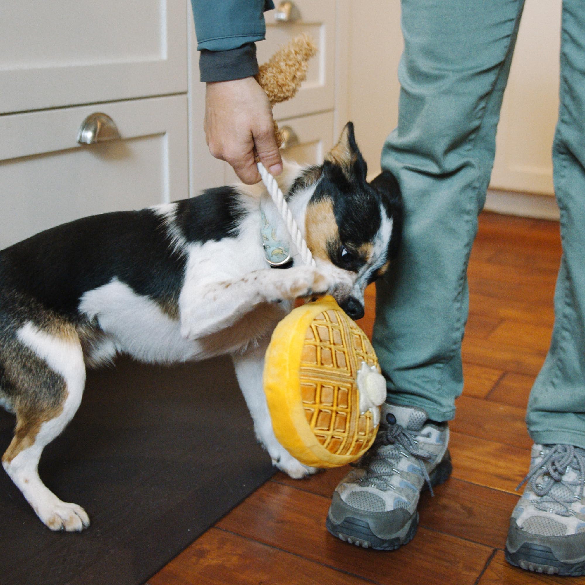 P.L.A.Y. Dog Toy - Soft Plush Chicken and Waffle Chew Toy for Small Dogs | Perfect for Indoor Play, Cuddling & Training