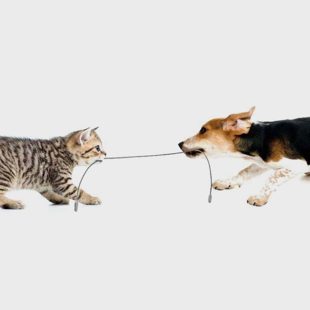 1.2M Durable Metal Braided Lightning Cable - Pet Friendly & Tangle-Free Charging Cord for iPhone - Perfect for Home, Office, and Travel Use