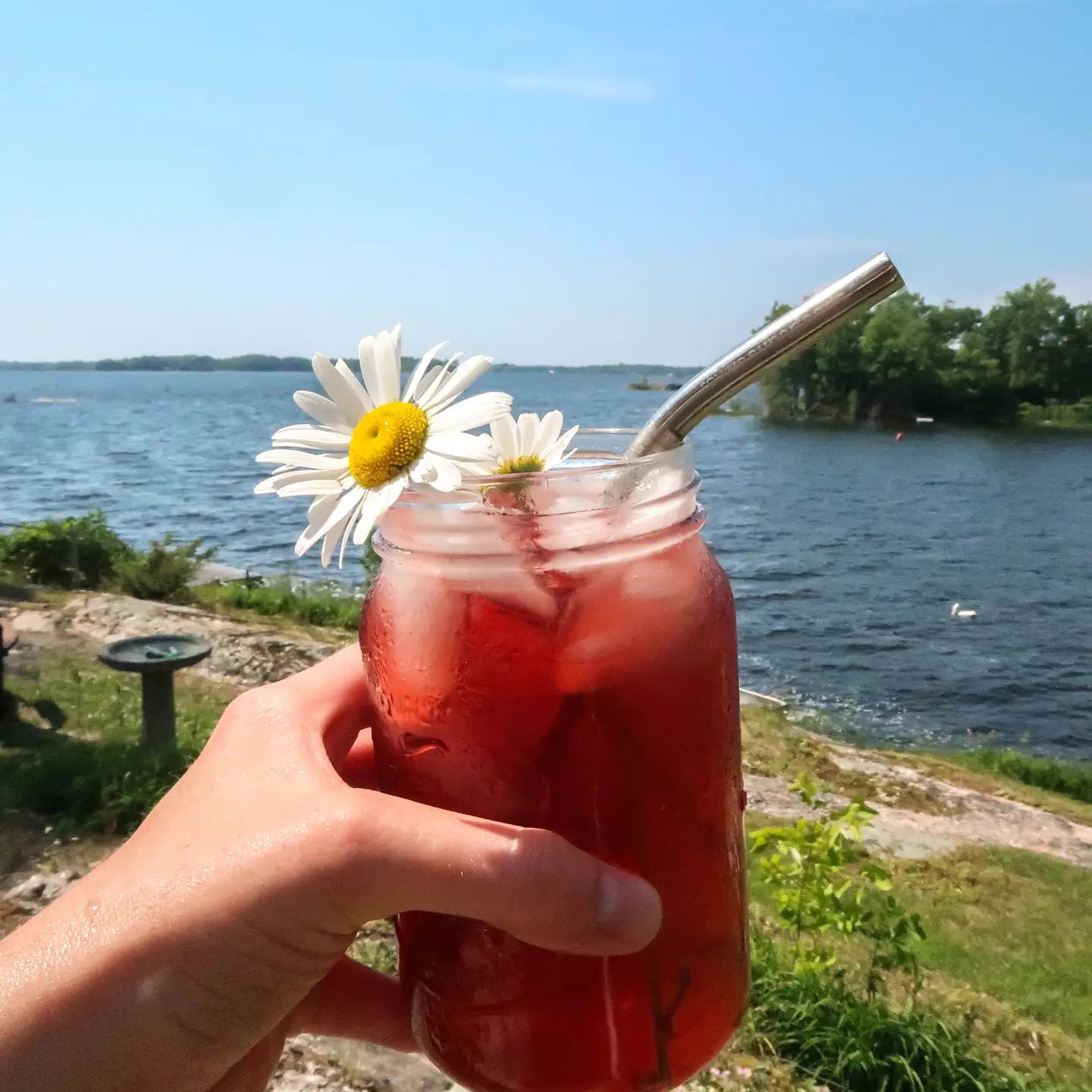 LAKE & OAK Rose Hibiscus Glow Superfood Tea Blend - Antioxidant Rich Herbal Tea for Skin & Wellness - Perfect for Morning Boost, Afternoon Relaxation & Evening Detox