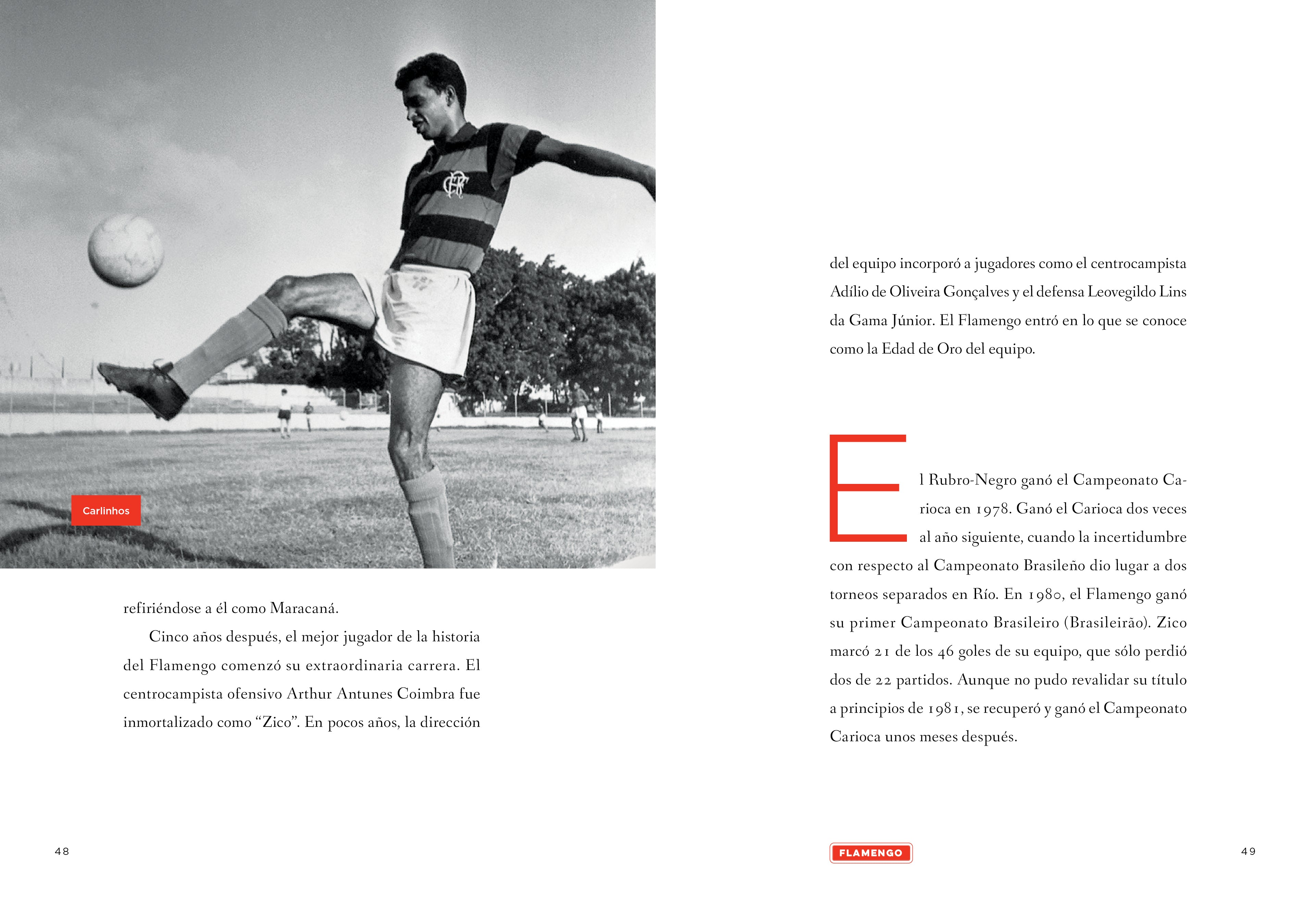 Flamenco Odysseas in Sports - Inspiring Athletic Journey & Adventure Stories for Fitness Enthusiasts & Soccer Fans