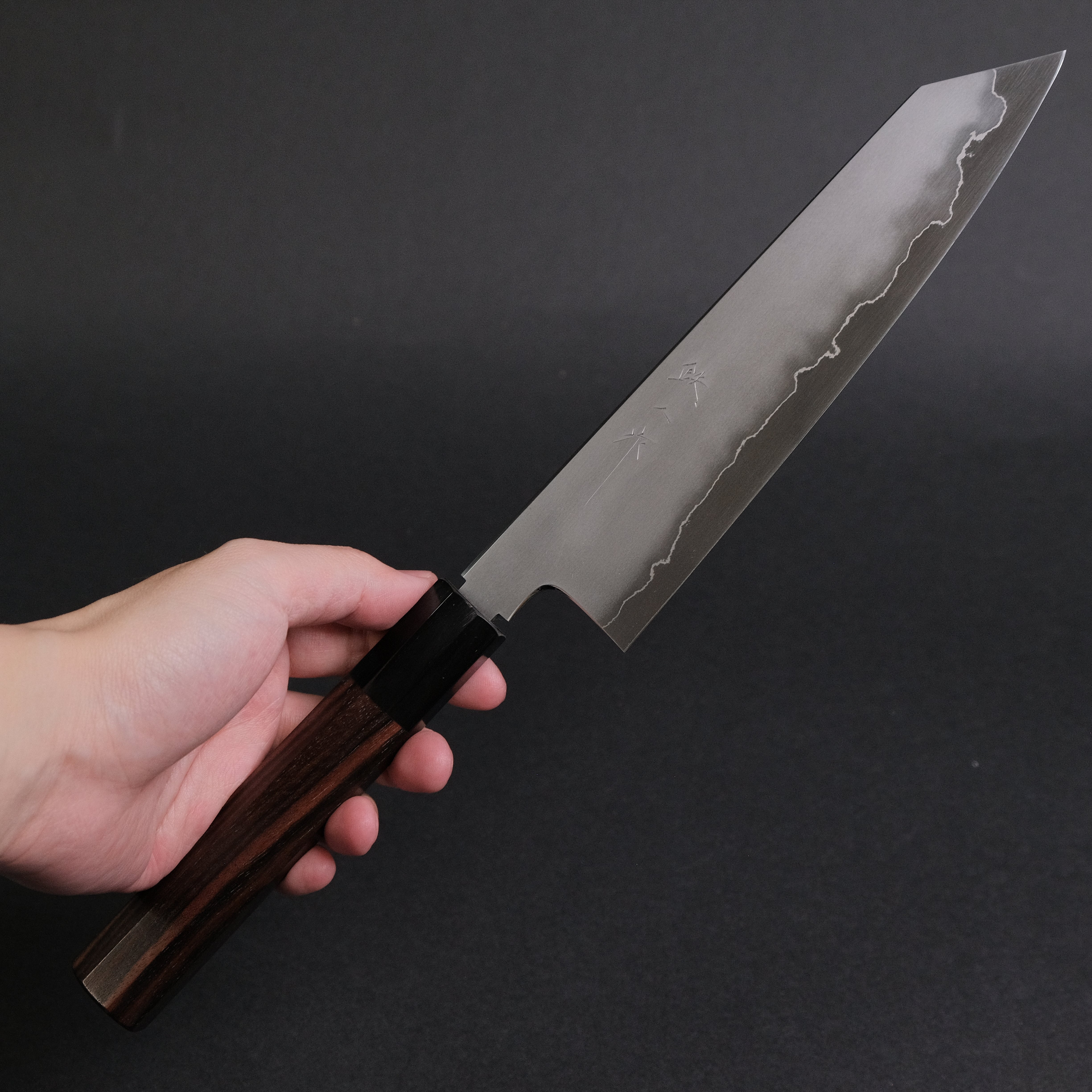 Premium Tetsujin Silver #3 Kasumi Kiritsuke Gyuto 210mm Japanese Chef Knife with Taihei Makassar Ebony Handle - Perfect for Sushi, Sashimi & Precision Cutting