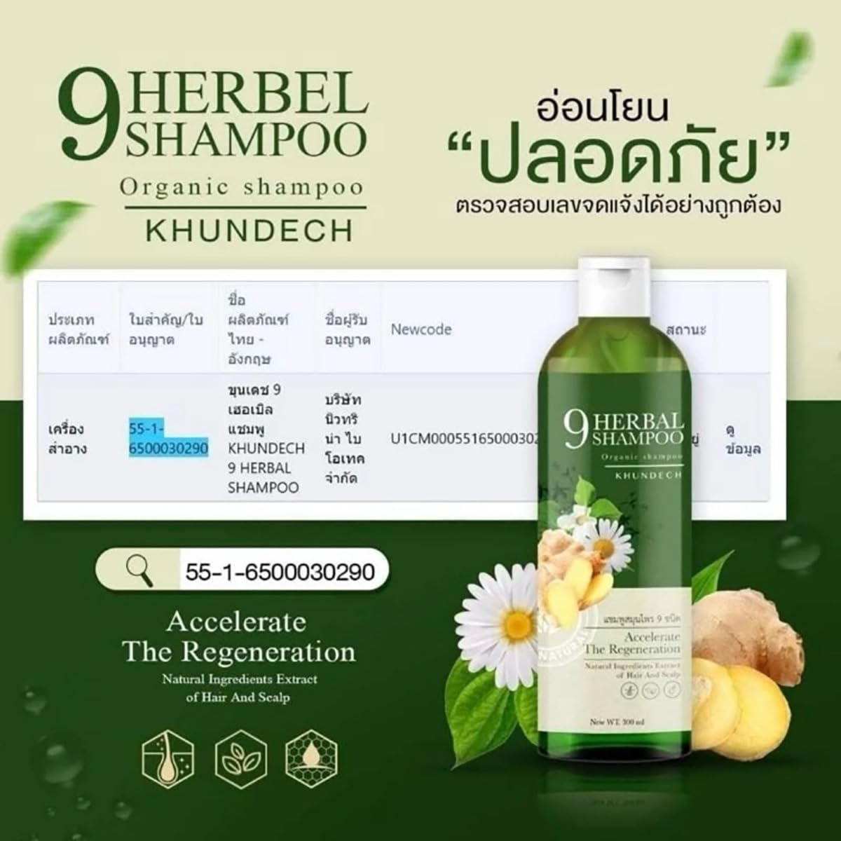 300ml Organic Herbal Shampoo with Chamomile & Ginger - Moisturizing Hair Care for Daily Use