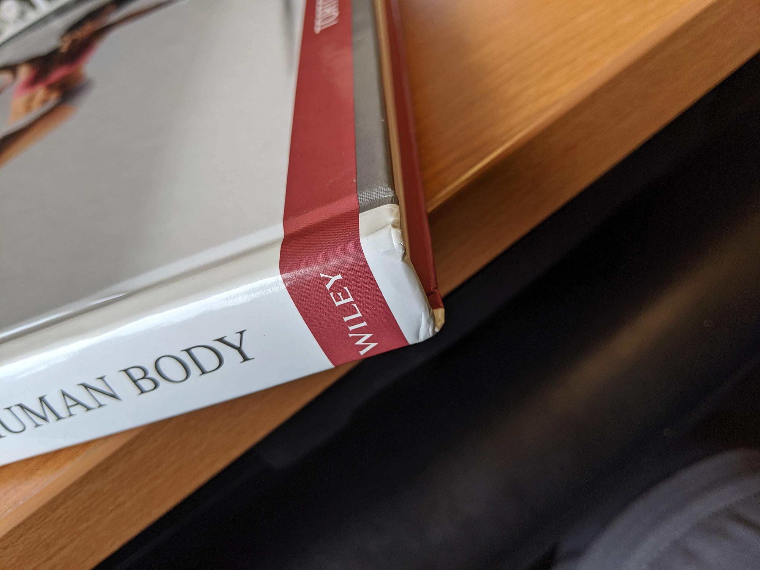Comprehensive Guide to Human Anatomy & Physiology - Essential Study for Medical Students & Healthcare Professionals | Perfect for Classroom Learning & Self-Study