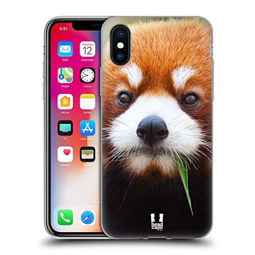 Red Panda