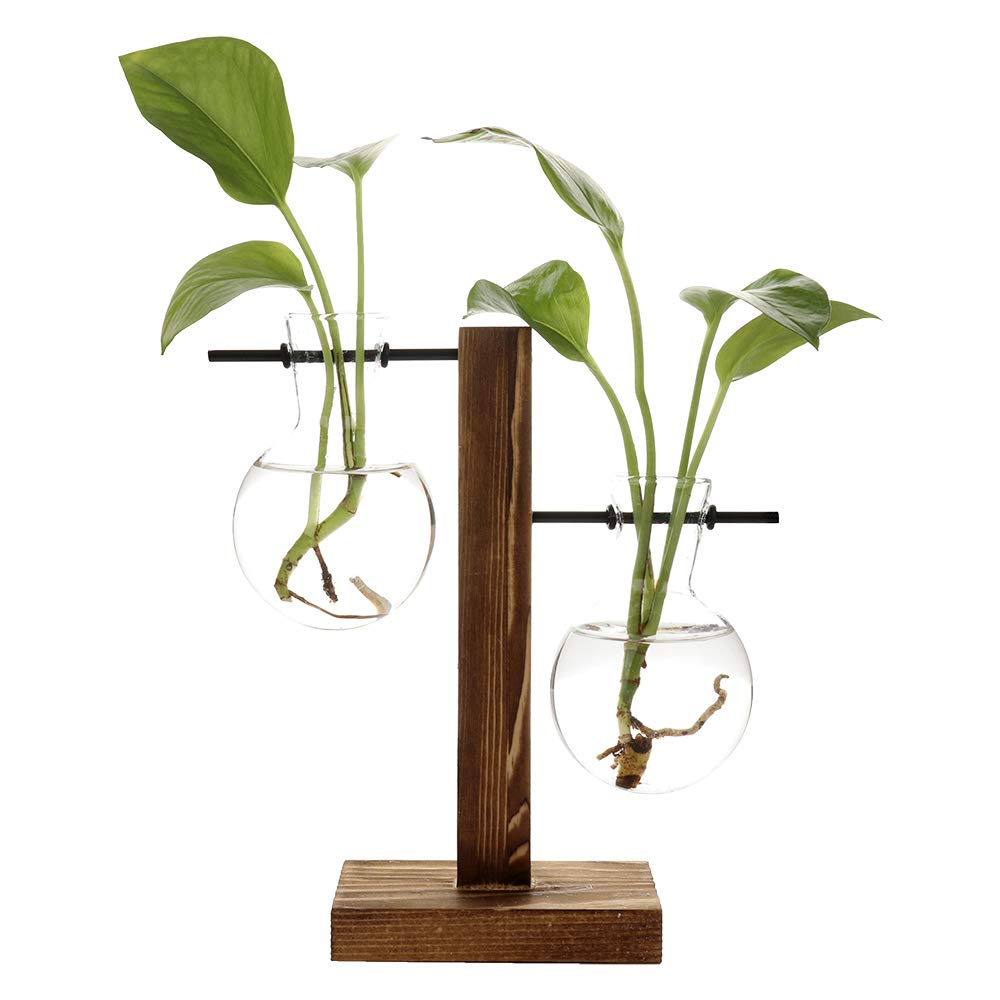 Retro Glass Terrarium Planter with Solid Wood Stand - Hydroponic Bulb Vase for Succulents, Air Plants | Perfect for Home, Office, Wedding & Garden Decor