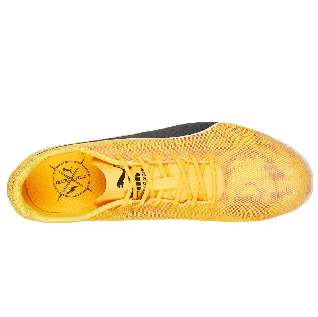 PUMA evoSPEED Star 8 Running Shoes for Men & Women - Lightweight Athletic Sneakers for Training, Jogging & Gym Workouts