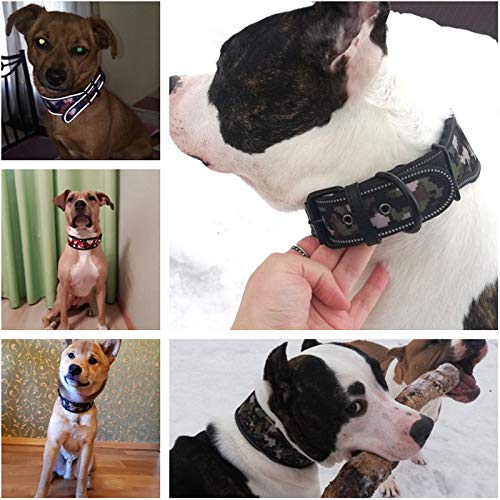 Reflective Nylon Wide Dog Collar - Fashion Printed Adjustable Pet Collar for Medium & Large Dogs - Pitbull & French Bulldog - Sizes S/M/L (Large, C) - Perfect for Night Walks & Outdoor Adventures