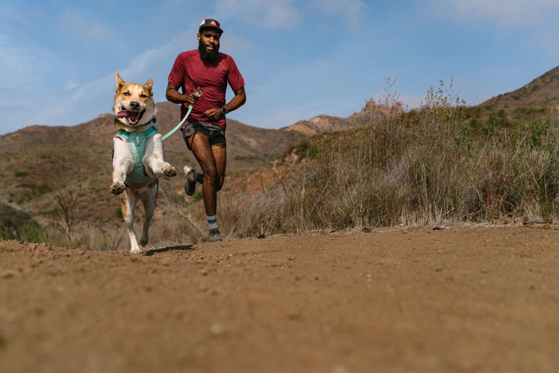 Ruffwear Hi & Light® Ultralight Dog Collar - Reflective Yellow (Lichen Green) for Small to Medium Dogs | Perfect for Night Walks, Hiking & Outdoor Adventures