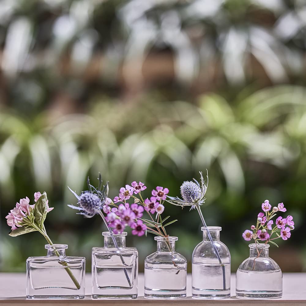 CHIVE ‘Loft’ Small Mini Flower Vases - Set of 10 Clear Glass Bud Vases for Wedding Centerpieces, Rustic Home Decor & Events - Durable Premium Quality Glass Vases for Fresh Flowers, Table Decorations and Gift Ideas