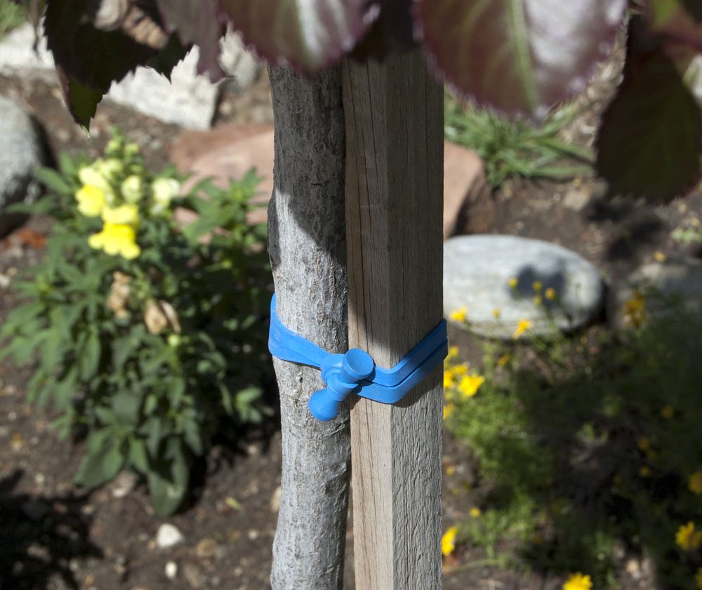 ALL BLUE Bongo Ties A5-01-B - 10 Pack Natural Rubber & Bamboo Professional Cable Ties | Heavy Duty Cord Organizers for Wires, Cables & Home Office Organization | Perfect for DIY, Electronics & Cable Management