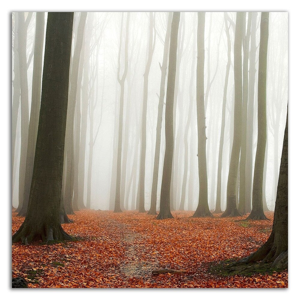Autumn Forest Floor Canvas Wall Art - Premium Printed Landscape Painting - Ready to Hang - Perfect for Living Room, Bedroom & Office Decor