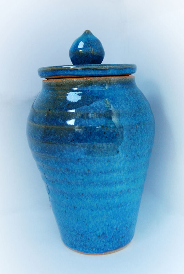 Coyote Oasis Glaze - Premium Ceramic Glaze for Pottery & Art Projects - Perfect for Handmade Mugs, Bowls & Home Decor
