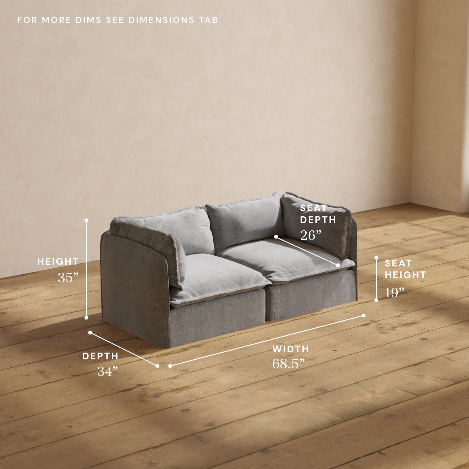 Premium Modular Performance 2-Seater Sofa in Ash Gray | Luxe Blend Fabric | Perfect for Living Rooms, Home Theaters & Office Lounges